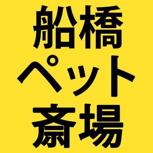 船橋市ホームページペット火葬 ストア